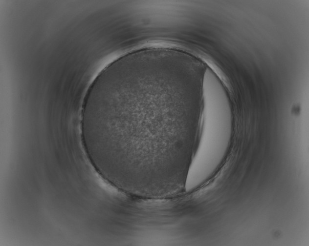 X0000092300853200709281324