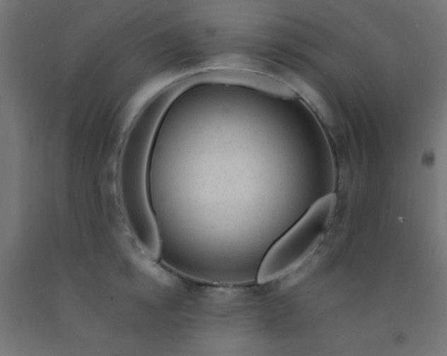 X0000092300854200709281324