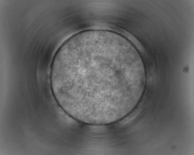 X0000092300856200709281324