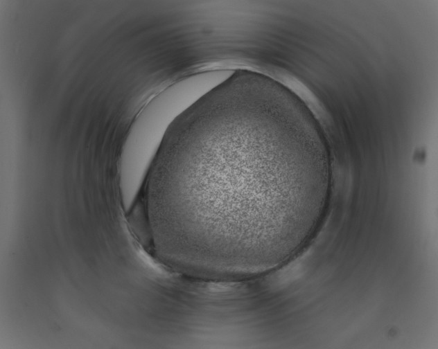 X0000092300857200709281324