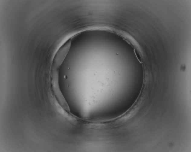 X0000092300860200709281324