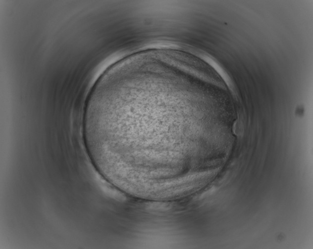 X0000092300861200709281325