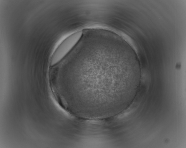 X0000092300863200709281325