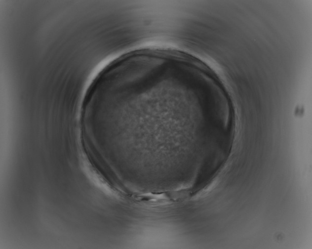 X0000092300864200709281325