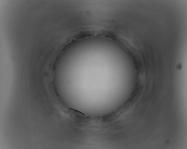 X0000092300865200709281324