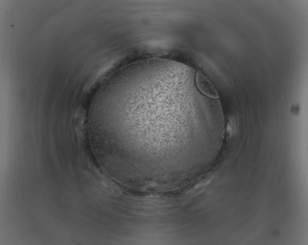 X0000092300867200709281324