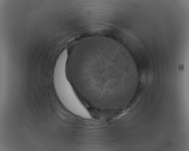 X0000092300868200709281324