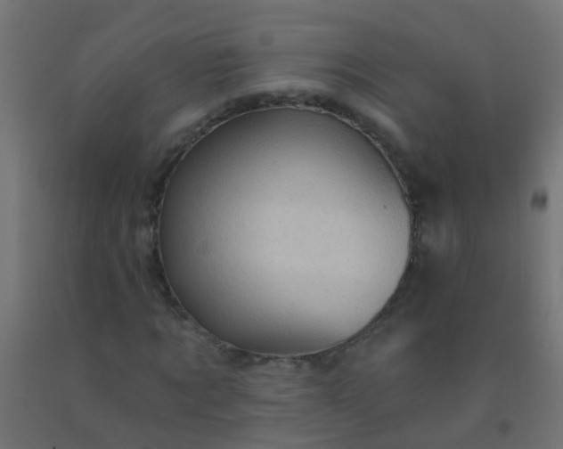 X0000092300869200709281324