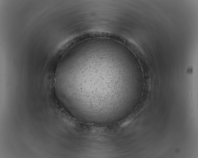 X0000092300870200709281324