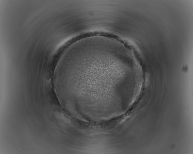 X0000092300872200709281324