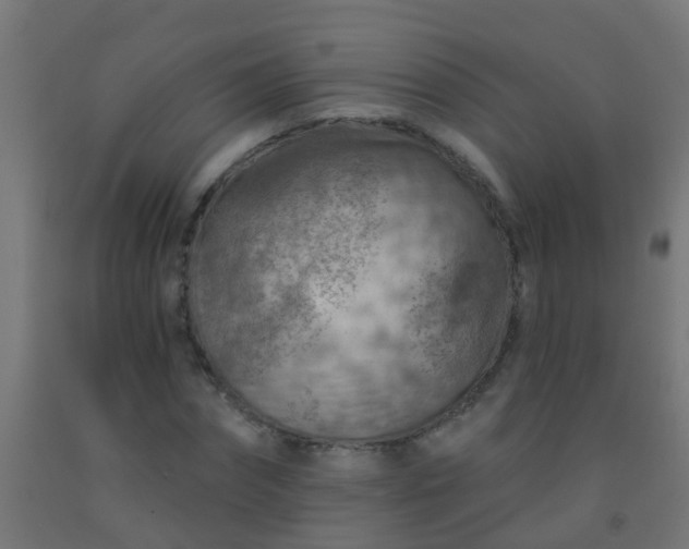 X0000092300874200709281324