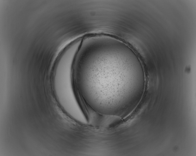 X0000092300876200709281324