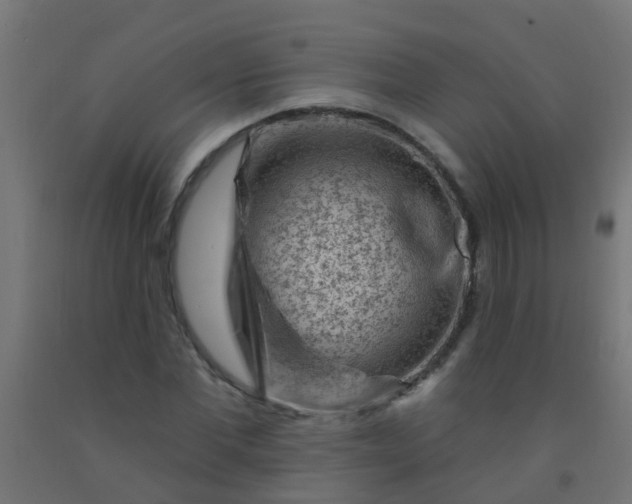 X0000092300877200709281324