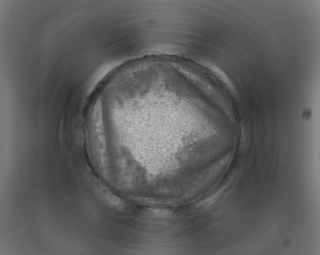 X0000092300878200709281324