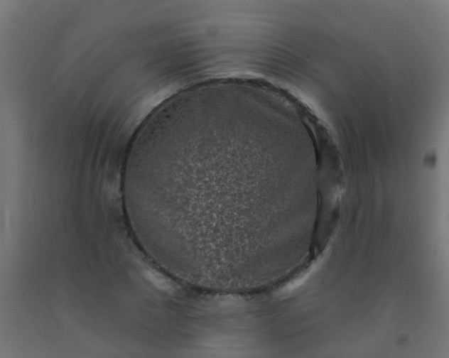 X0000092300881200709281324