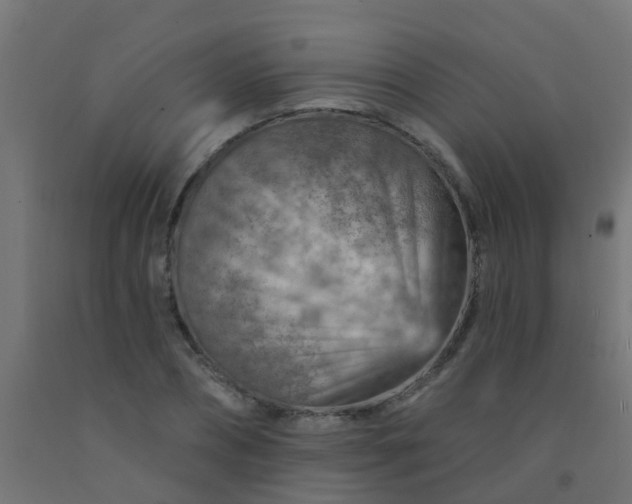 X0000092300882200709281324