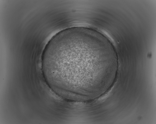 X0000092300883200709281324