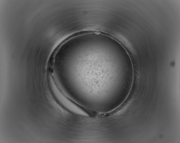 X0000092300884200709281324