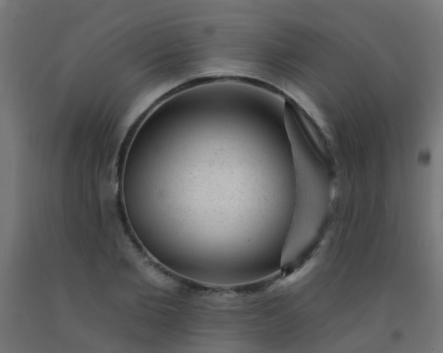 X0000092300885200709281324