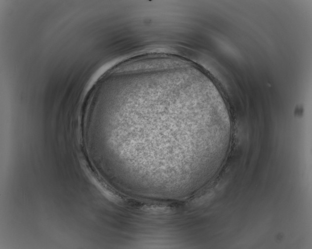 X0000092300886200709281324