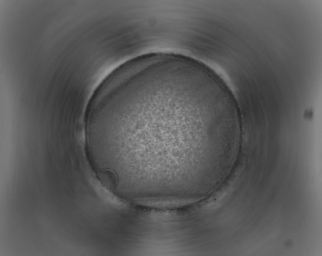 X0000092300887200709281324