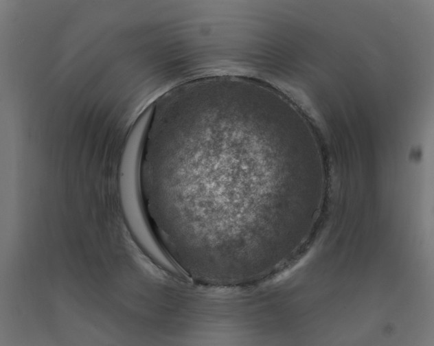 X0000092300889200709281324