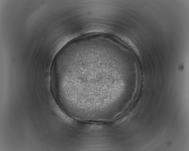 X0000092300890200709281324