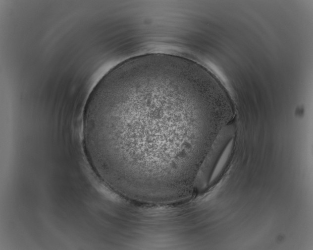 X0000092300891200709281324