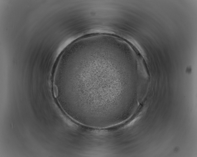 X0000092300893200709281324