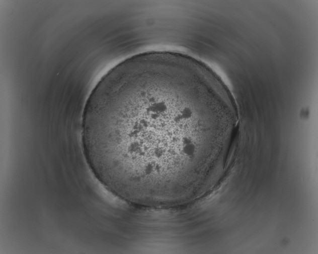 X0000092300895200709281324