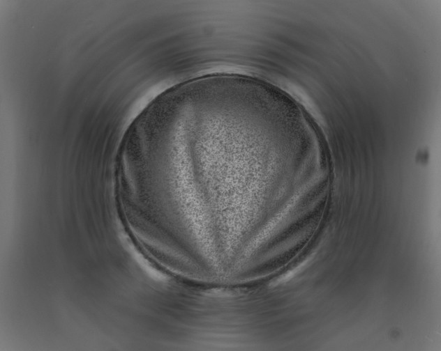 X0000092300898200709281324