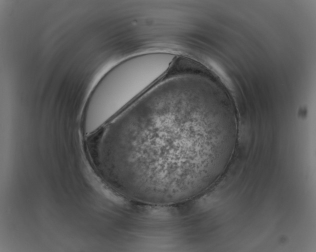 X0000092300899200709281324