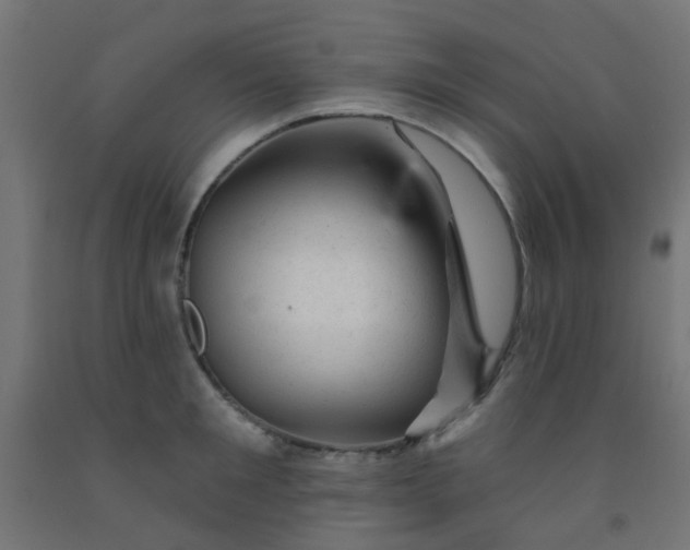 X0000092300901200709281323