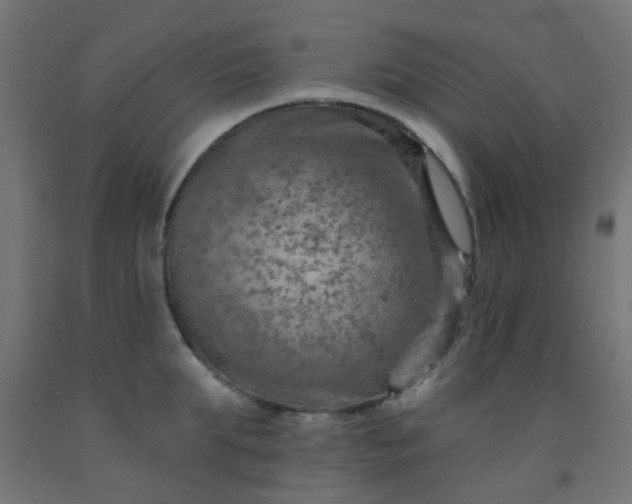 X0000092300903200709281323