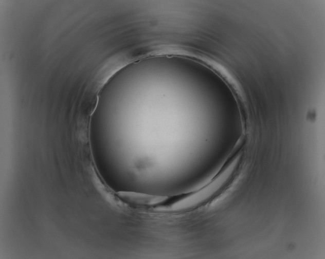 X0000092300905200709281323