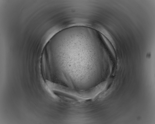 X0000092300906200709281323