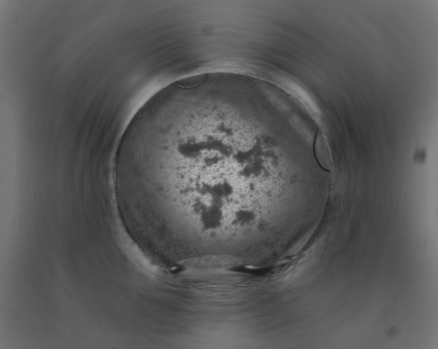 X0000092300907200709281323