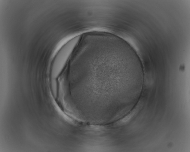 X0000092300910200709281323