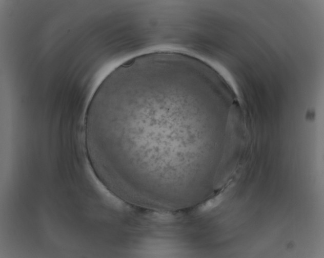 X0000092300911200709281323