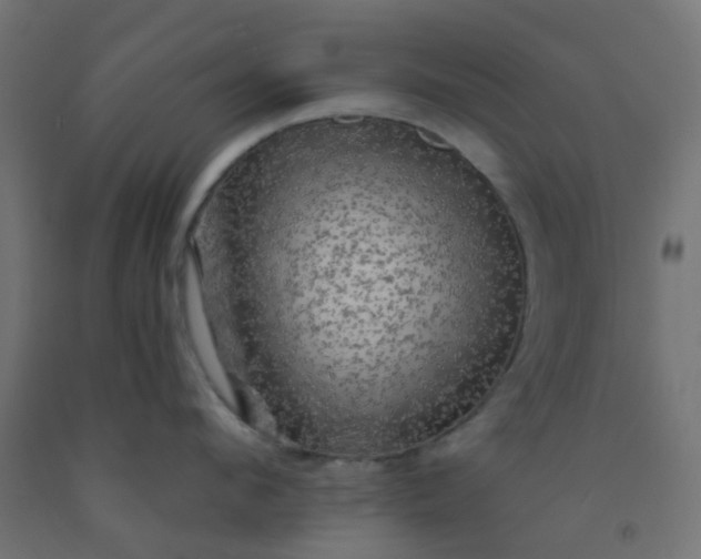 X0000092300912200709281323