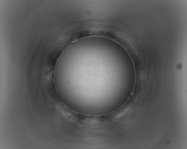 X0000092300914200709281323