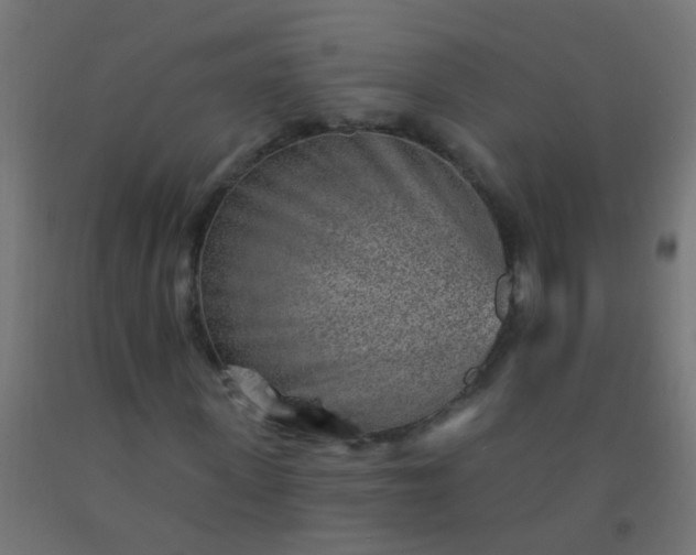 X0000092300915200709281323