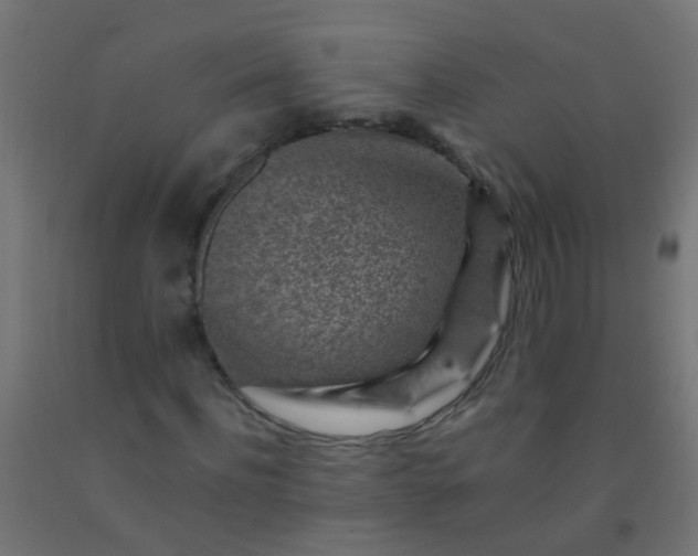 X0000092300916200709281323