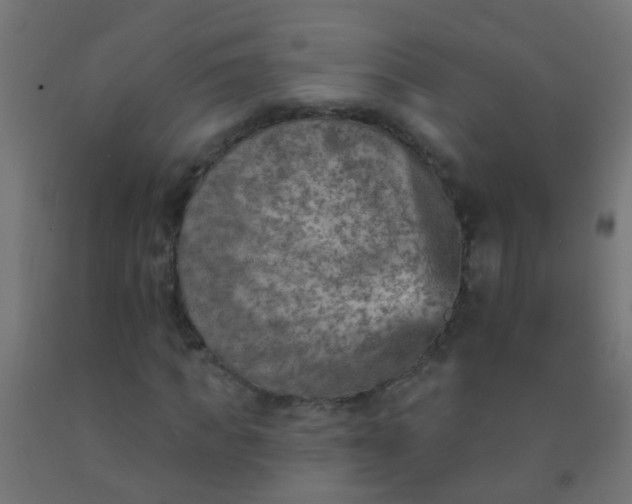 X0000092300917200709281323