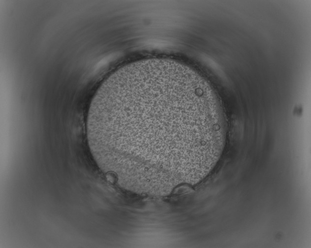 X0000092300918200709281323