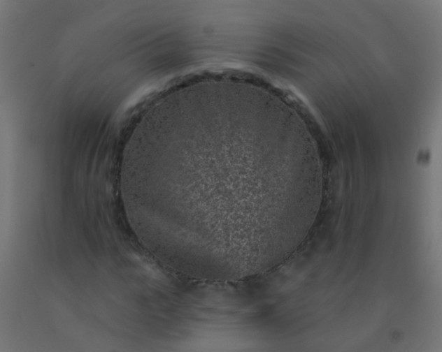 X0000092300919200709281323