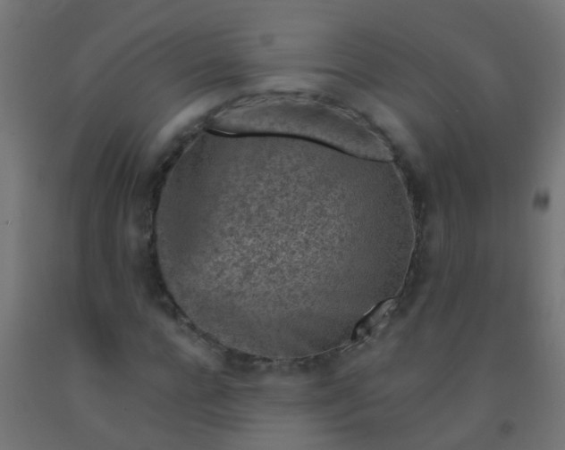 X0000092300920200709281323