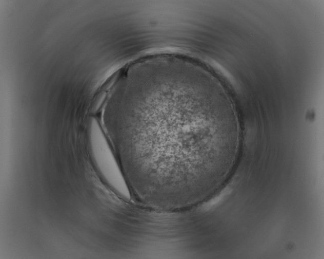 X0000092300921200709281323