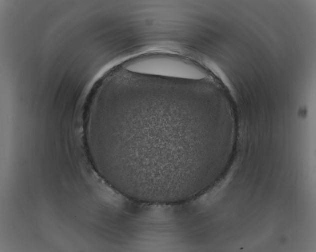 X0000092300923200709281323