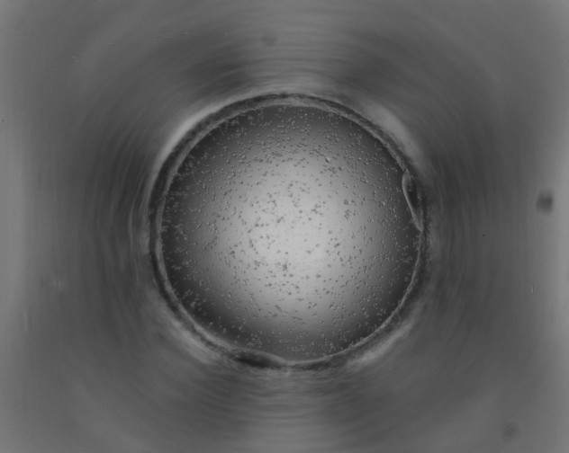 X0000092300924200709281323